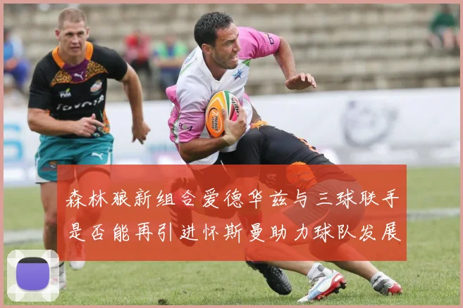 森林狼新组合爱德华兹与三球联手是否能再引进怀斯曼助力球队发展